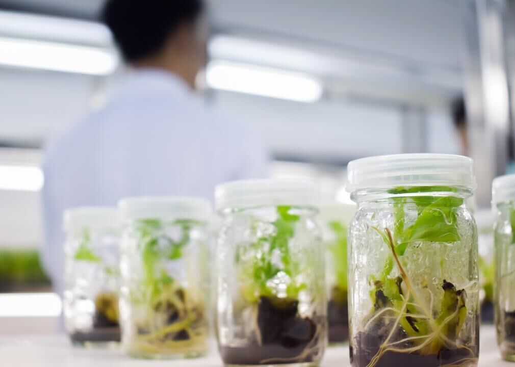 #52. Environmental studies